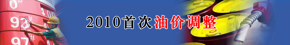 2010�״��̓r(ji��)�{(di��o)��