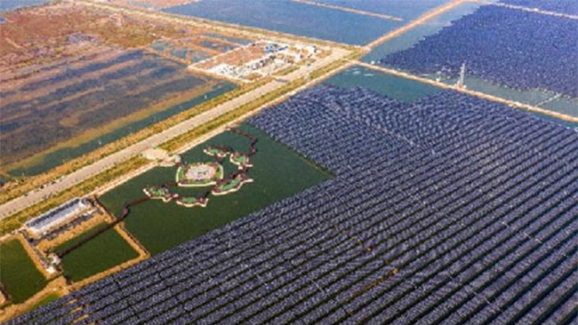 通威東營(yíng)漁光一體生態(tài)園