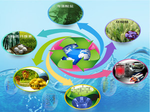 我國將開展燃煤耦合生物質發(fā)電技改試點工作