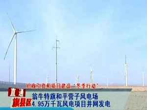 內(nèi)蒙古首家解禁紅色預(yù)警的風(fēng)電項(xiàng)目并網(wǎng)發(fā)電