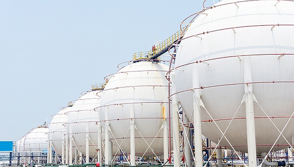 China's natural gas market has great potential: Chinese executive