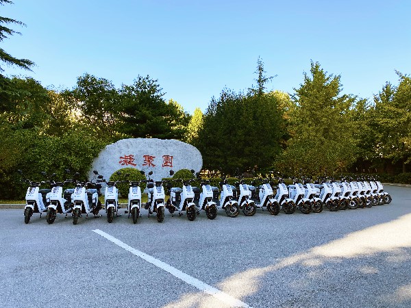 群車(chē)2_副本.jpg