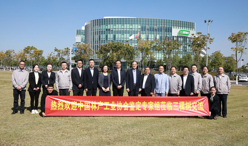 中國林產(chǎn)工業(yè)協(xié)會(huì)鑒定專家組蒞臨交流